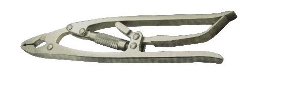 תǯ